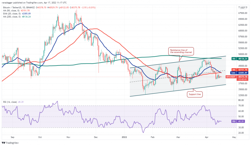 本週值得關注的5 大加密貨幣：BTC、XRP、LINK、BCH、FIL