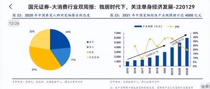 談戀愛不如養寵物，寵物經濟是下一個風口？