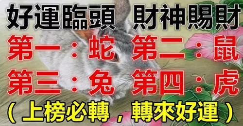 即時新聞網